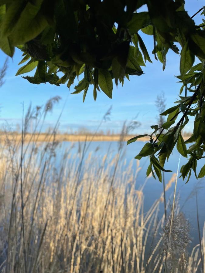 Dzintarkrasts Hotel Jūrkalne Eksteriør billede